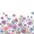 Aster