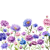 Chrysanthemum