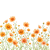 Cosmos