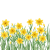 Daffodil