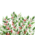 Holly