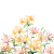 Honeysuckle