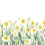 Jonquil