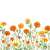 Marigold
