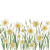 Narcissus