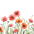 Poppy