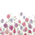 Sweet Pea