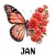 1 January Carnation