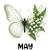10 May Lily of the Valley