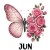 12 June Rose