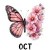 19 October Cosmos