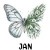 2 January Snowdrop