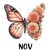 21 November Chrys