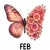 3 February Primrose