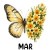 5 March Daffodil