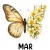 6 March Jonquil