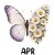 7 April Daisy