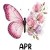 8 April Sweet Pea