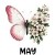 9 May Hawthorn