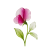 Apr - Sweet Pea