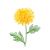 Nov - Chrysanthemum
