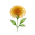 Oct - Marigold