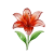 May - Lily