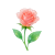 Jun - Rose