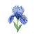 Feb - Iris
