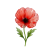 Aug - Poppy