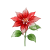 Dec - Poinsettia