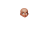 Face Brown - WOMEN