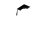Dark