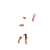 Body Brown - Women